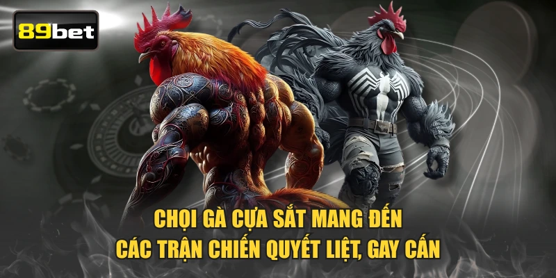 Chọi gà cựa sắt mang đến các trận chiến quyết liệt, gay cấn