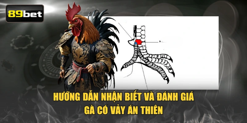 Hướng dẫn nhận biết và đánh giá gà có vảy án thiên